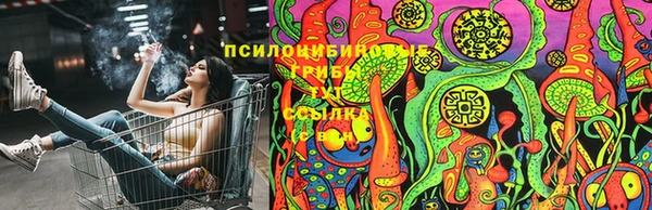 тгк Бугульма